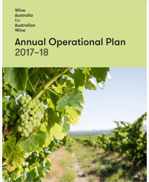 it annual operational plan