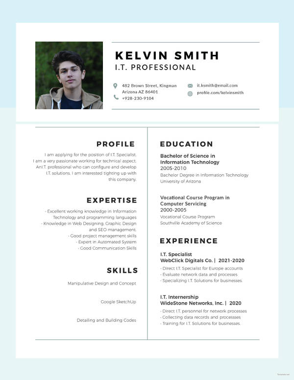 it professional experience resume