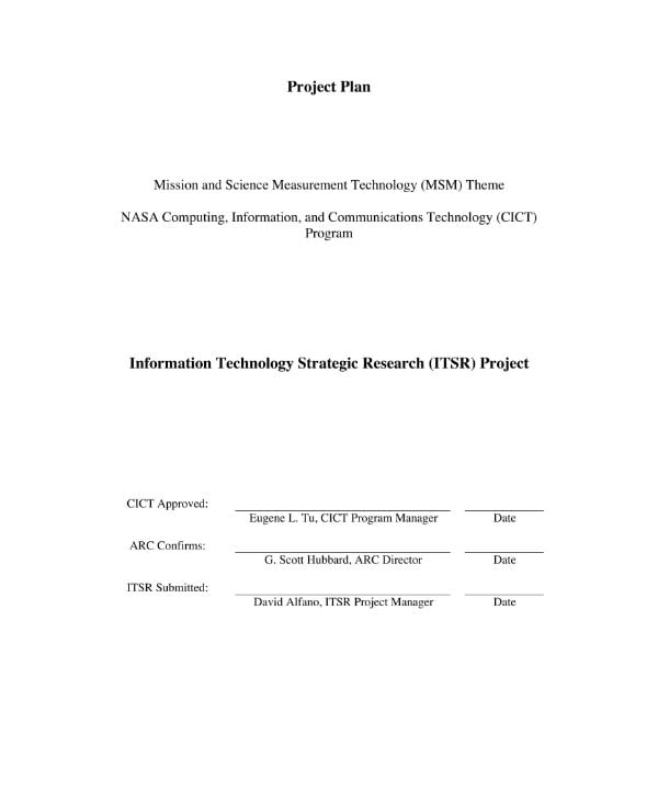 msm-it-project-plan-sample