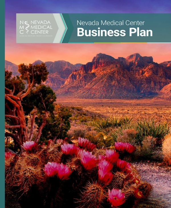 10+ Medical Business Proposal Templates PDF, Word, Excel