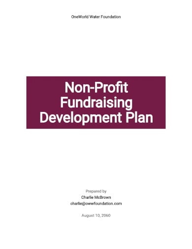nonprofit fundraising development plan template