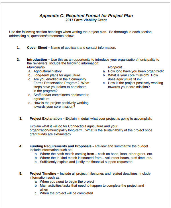 12+ Nonprofit Project Plan Templates - PDF, Word