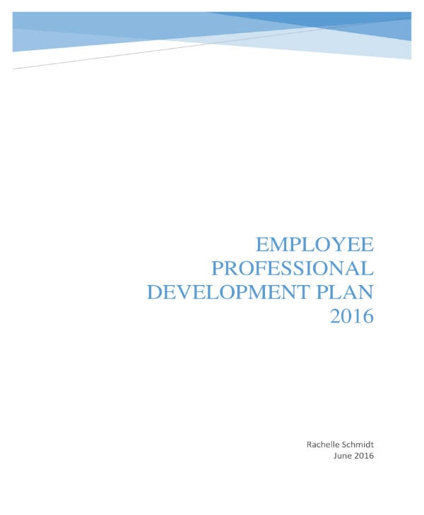 professional-development-plan-011