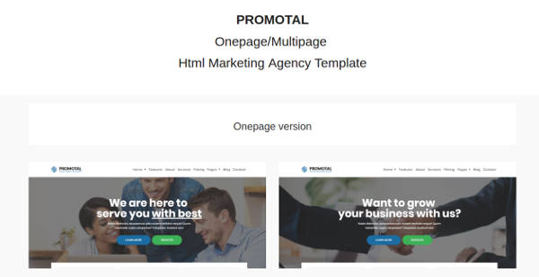 promotional digital marketing agency website template