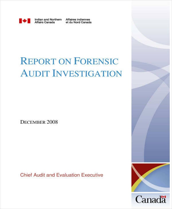 report on forensic audit investigation