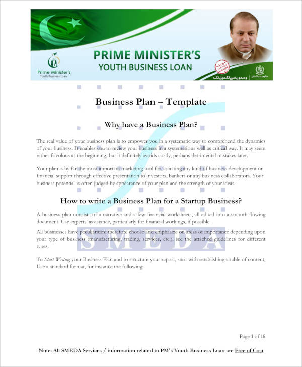 Business plan presentation pdf example image