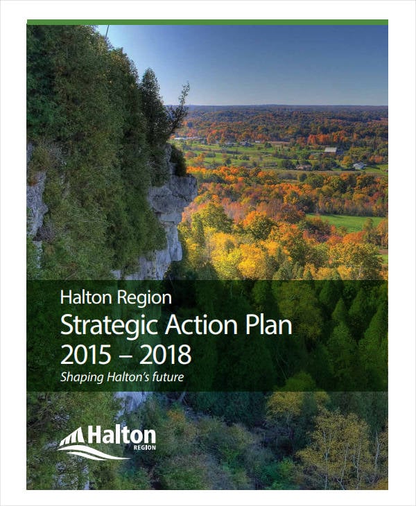 strategic action plan example