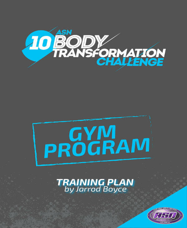 training gym plan template