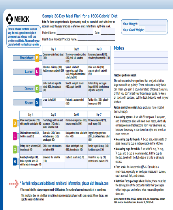 6 60 Day Diet Plan Templates PDF