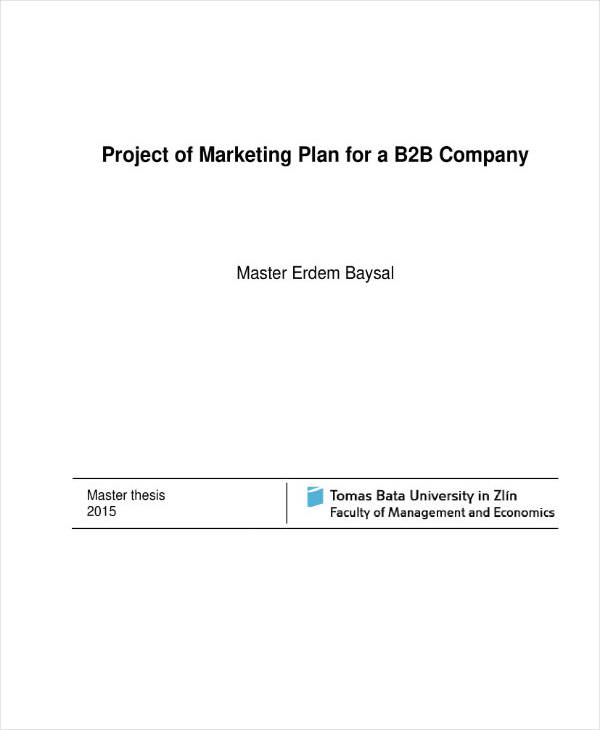 b2b business plan template net