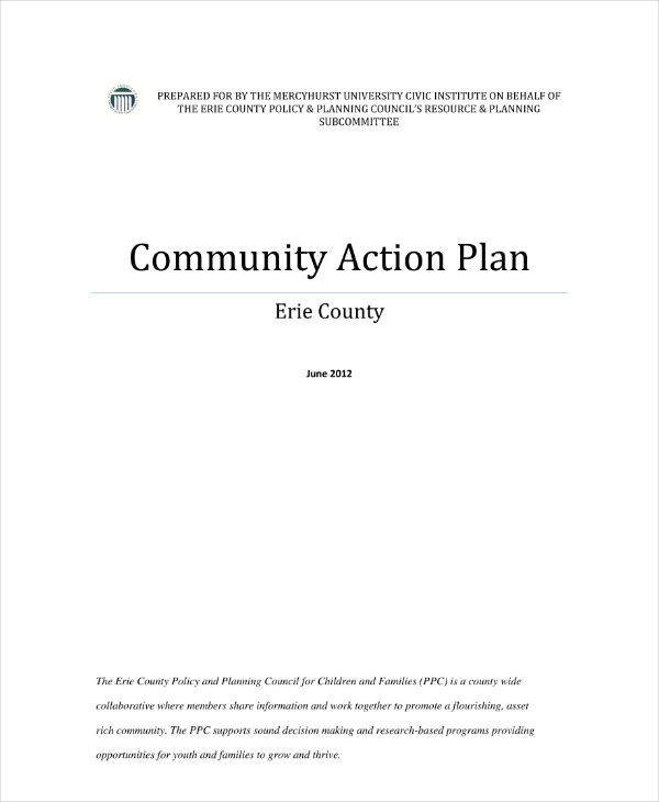 Action Plan In Community Example