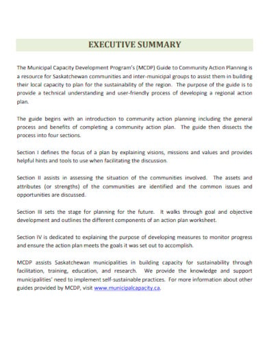 community action plan with executive summary