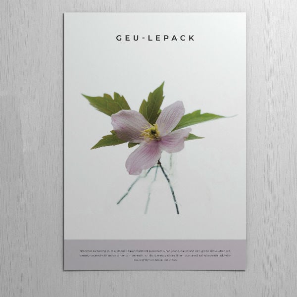 floral nature magazine cover design template