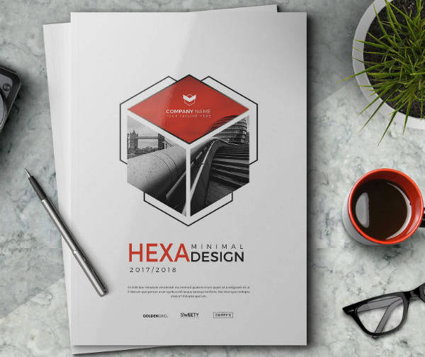 hexagon annual report cover design