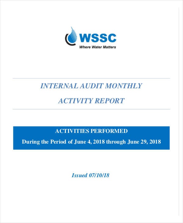 internal audit monthly activity report