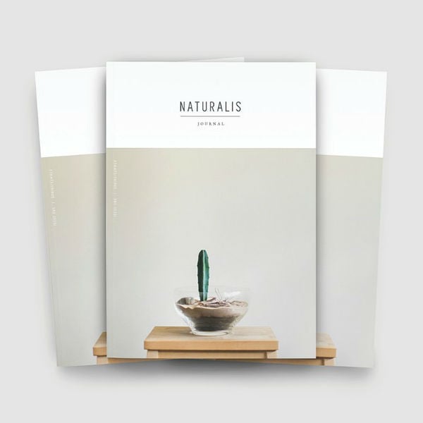 minimalist nature magazine cover template