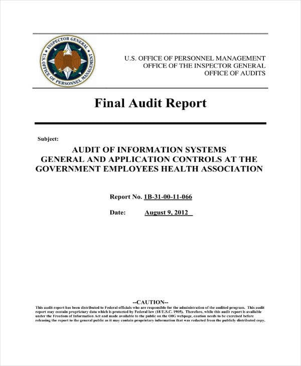 monthly final audit report