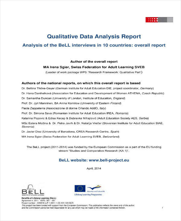 qualitative analysis report example
