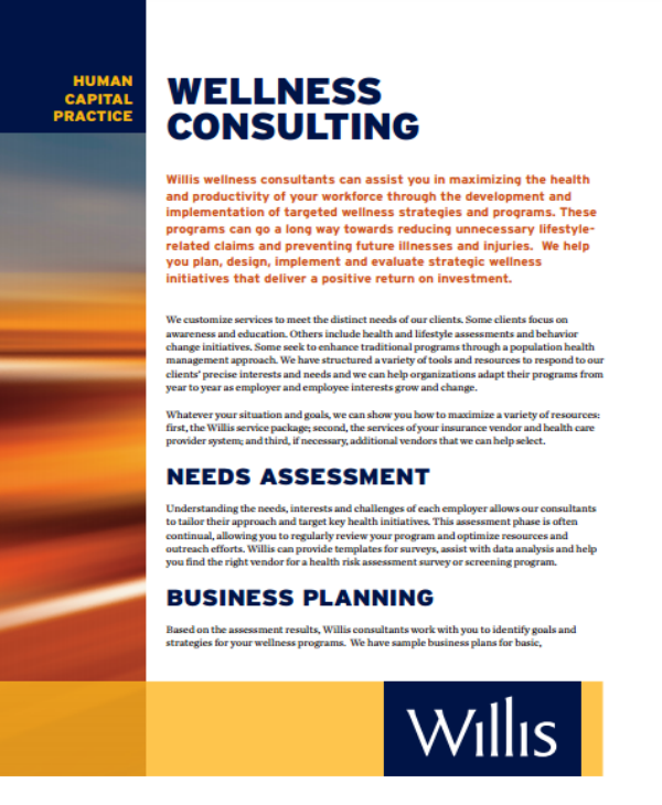 wellness consulting business plan