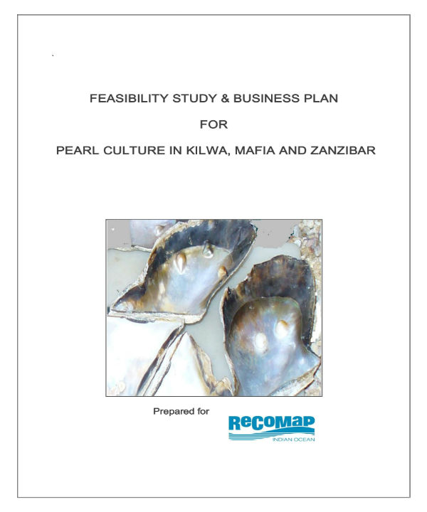 7+ Jewelry Business Plan Templates PDF