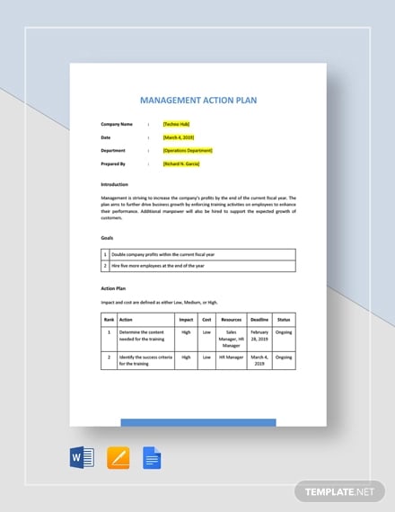 5+ One Page Action Plan Templates - DOC, PDF