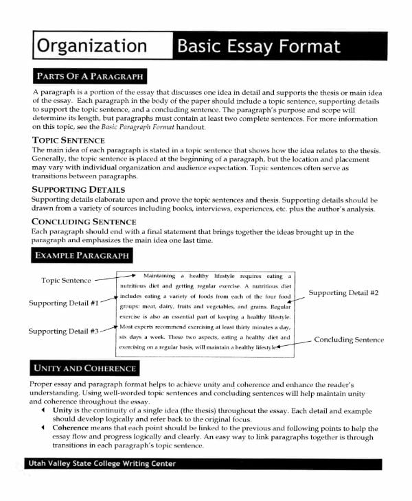 Example essay format