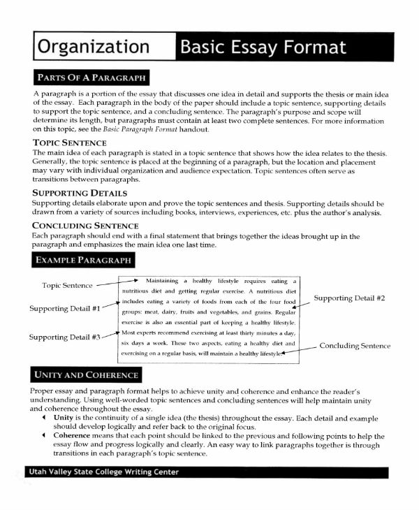 the essay format