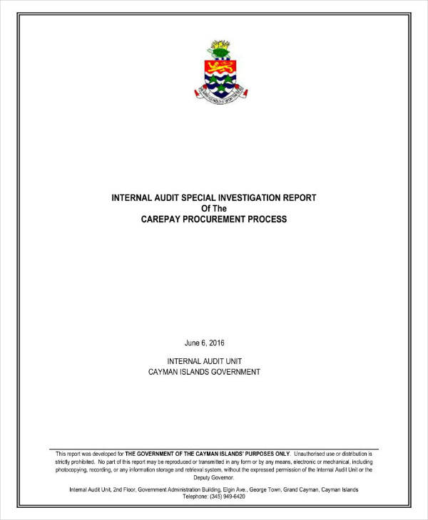 internal audit special investigation report