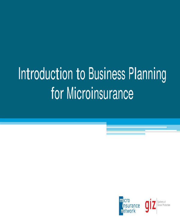 6 Insurance Business Plan Templates Pdf Word 5063