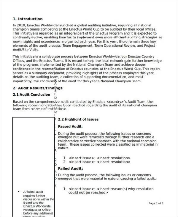 6+ Daily Audit Report Templates - PDF, DOC, Word, Pages