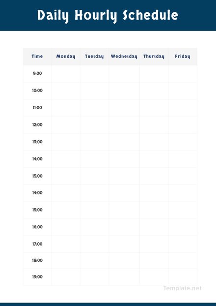 Example of Daily Hourly Schedule Template