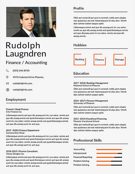 finance resume example