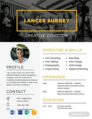 free-director-resume-template