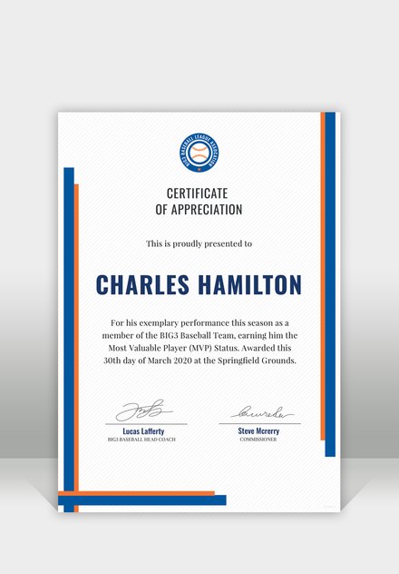 Free Sports Appreciation Certificate Template 440x632