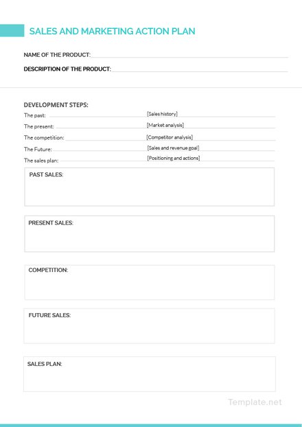 Sales and Marketing Action Plan Sample