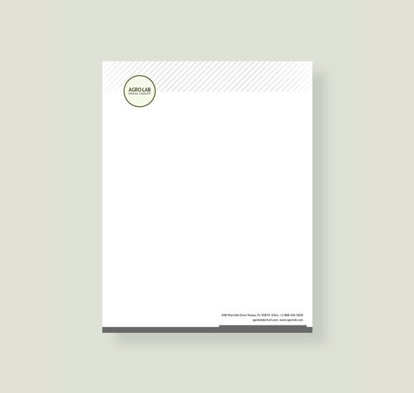 32+ Free Letterhead Templates in Microsoft Word | Free & Premium Templates