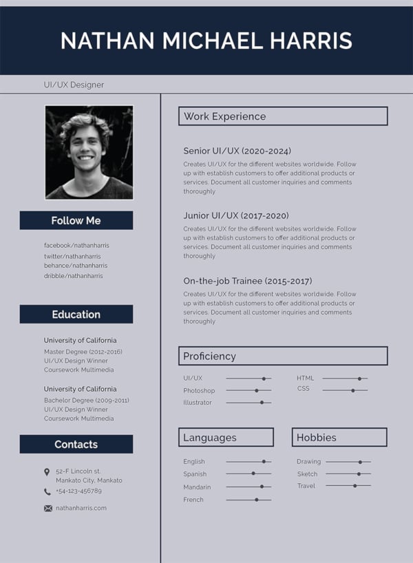 Professional Resume Format Pdf from images.template.net