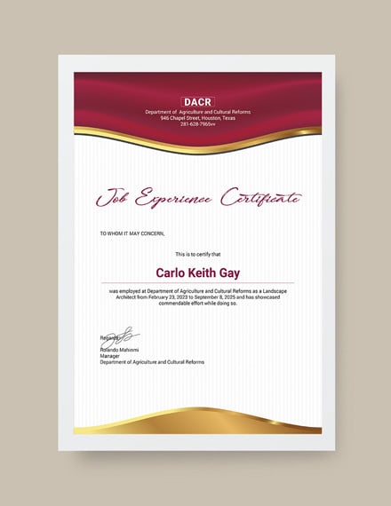 Certificate Of Experience Template
