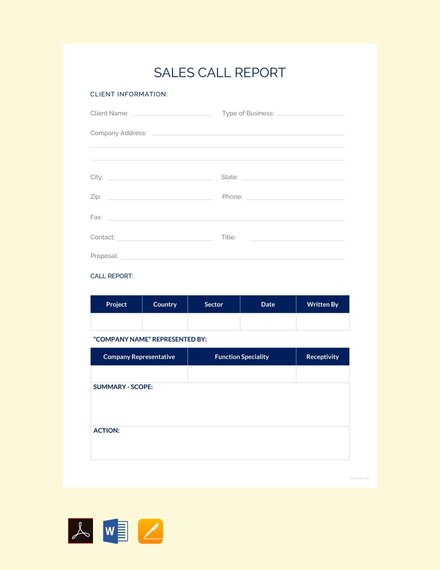 Sales Call Report Sample