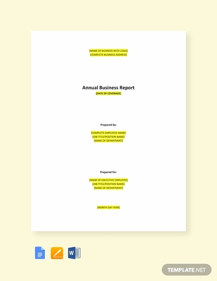 annual business report