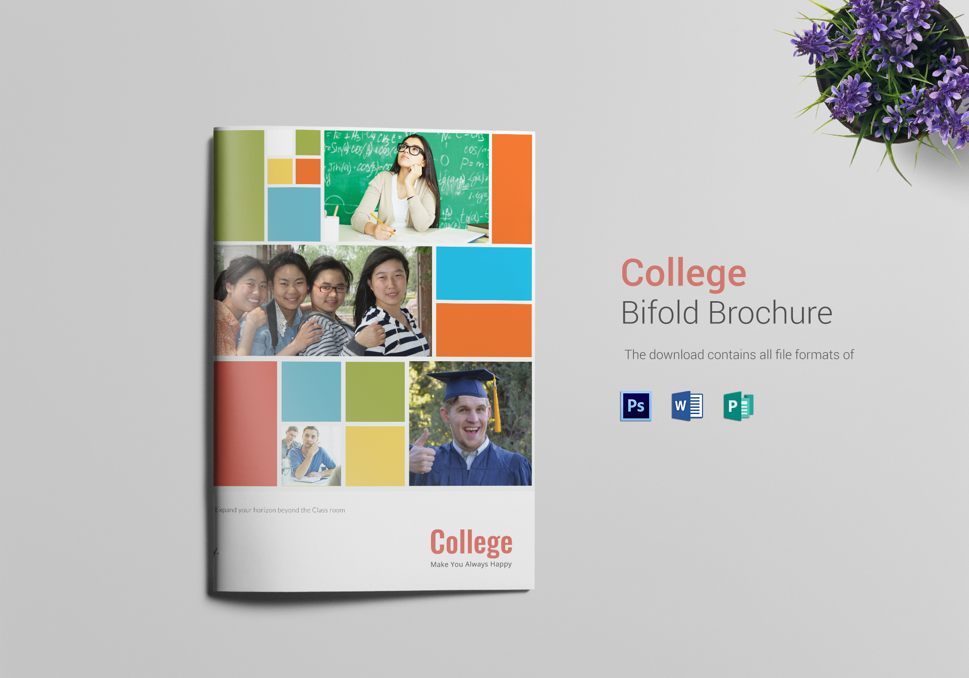college bifold brochure example