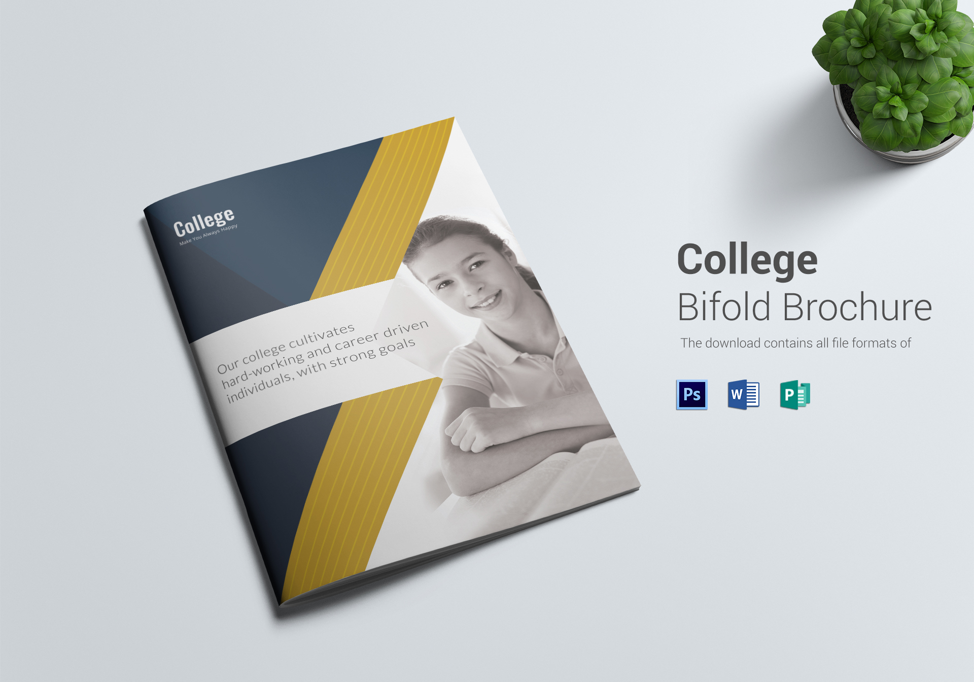 college folded brochure layout