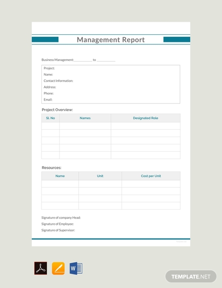 management-report-example-template