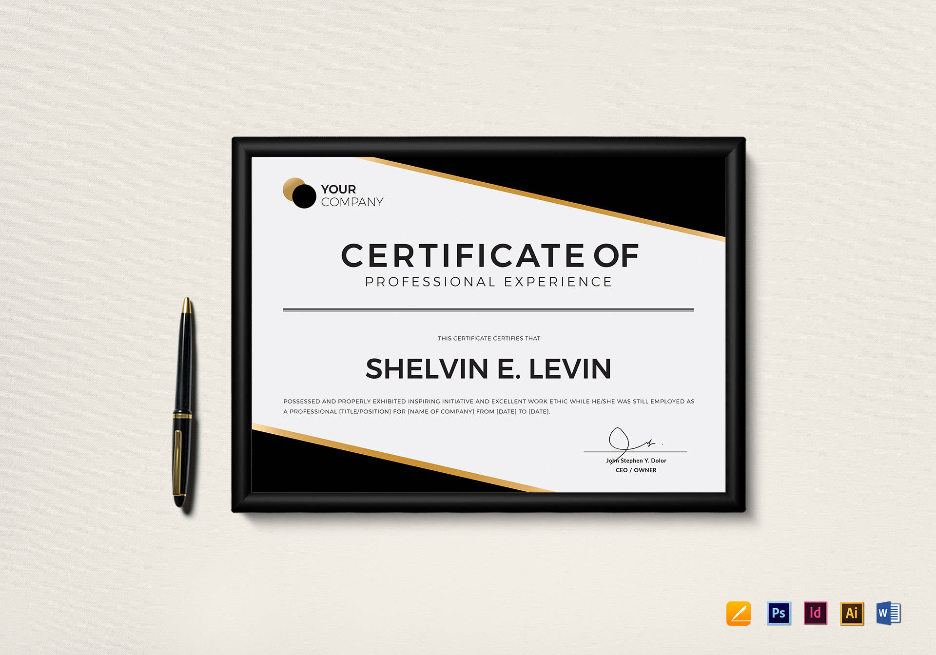 professional experience certificate template
