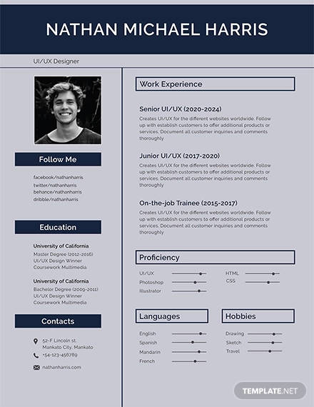 11+ Resume Templates in Apple Pages