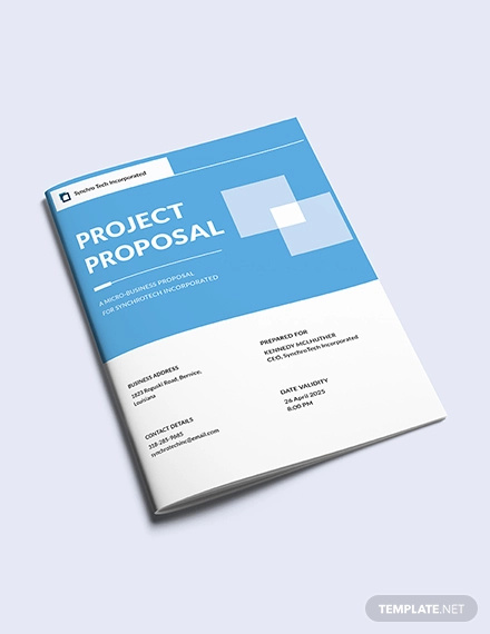 Image 5 for Business Analysis Proposal Template