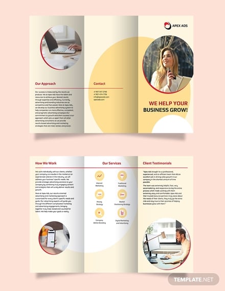 apex-consultant-trifold-brochure-example
