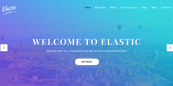 elastic pro customizable wordpress theme
