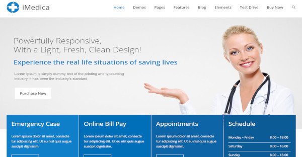 imedica – traditional insurance business theme
