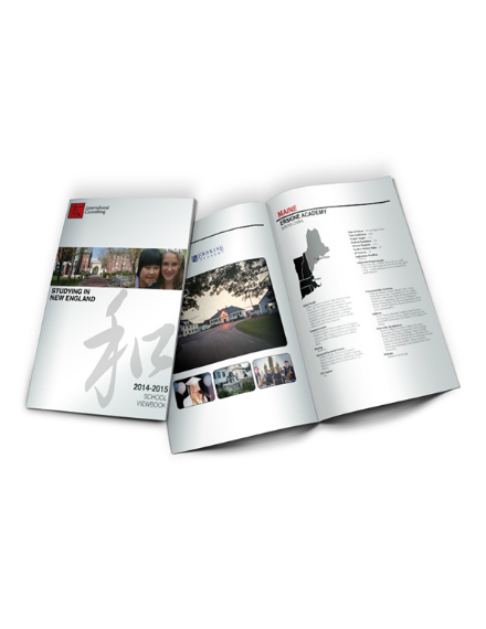 intercultural-consulting-brochure-design